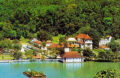 ��� �����